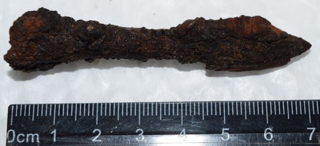 Arbaleta bultas uzgalis, pie tā palikušas koka paliekas. Iespējams, bulta iedūrusies kokā, kam satrūdot uzgaļa rūsa iekonservējusi koka šķiedras.