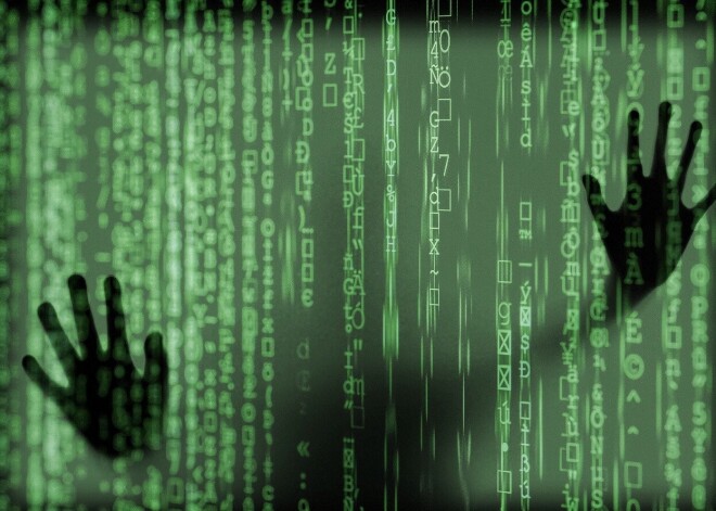 Во время кризиса Covid-19 участились случаи отмывания денег через публичные закупки и киберпреступления