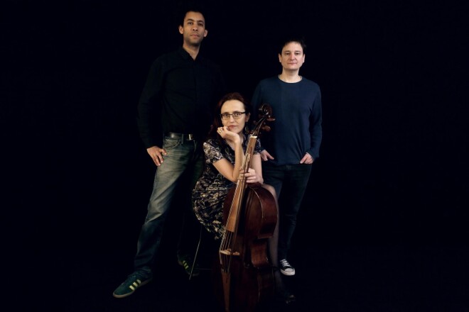 Projektā “Magnetic Bach” apvienojušies Šveicē dzīvojoši mūziķi – čelliste Ilze Grudule un duets “Blue Divided by Blue” – semplu mākslinieks Vincents Flikigers un moog-sintezatora un elektronikas mākslinieks Freds Šapuī. 