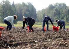 Pēdējo 15 gadu laikā darbaspēks no Latvijas ir aizplūdis uz ES valstīm. 