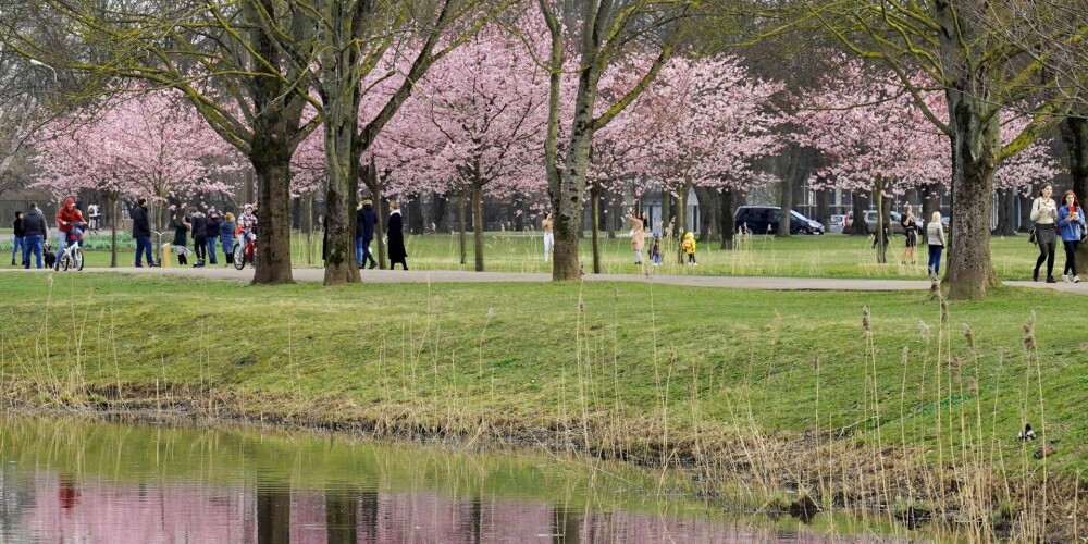 Cilvēki dzīvo un izdzīvo. Kā klājas ļaudīm pandēmijas laikā un pasaulē pēc koronovīrusa uzliktajiem ierobežojumiem? Pieredze, pārdzīvojumi un piedzīvojumi. Cilvēkstāsti, kas fiksē šī neparastā laika mirkļus. Mājsaimniece un bankas prezidents, sportists un medmāsa, mūziķis un lielveikala pārdevēja, filozofs un burgeru pārdevējs. Kas viņus vieno? Kas viņus padara par izdzīvotājiem?