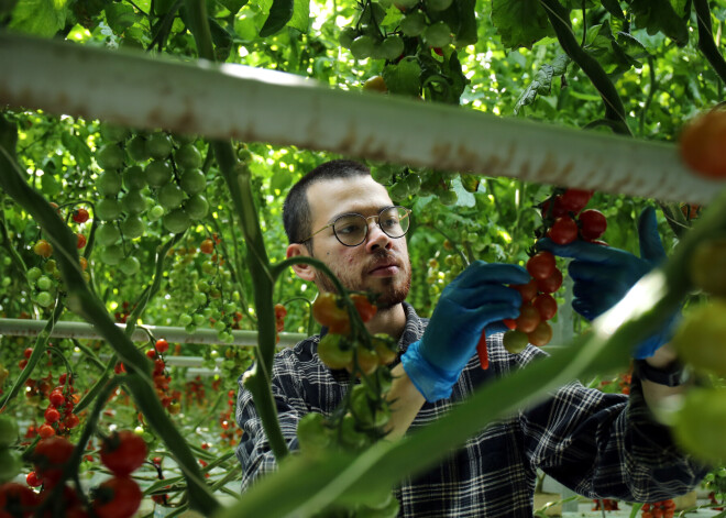 Briti slinka nācija? Princis Čārlzs vēršas ar lūgumu pie tautas, pēc kā visus izbrīna milzīgā atsaucība