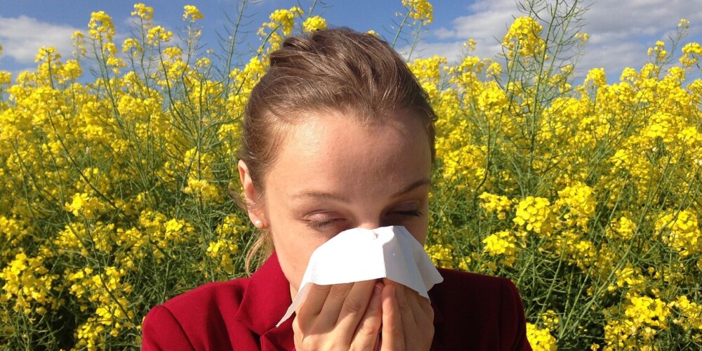 Опрос: от симптомов аллергии страдает около 65% жителей стран Балтии