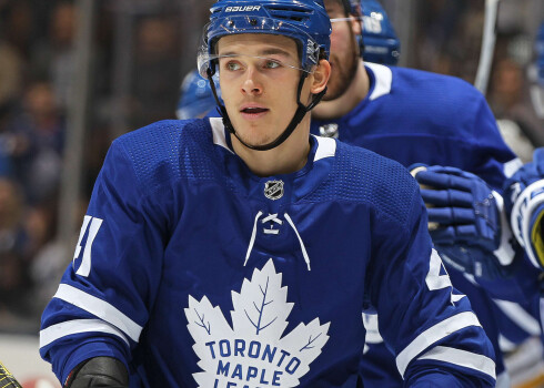 Dimitro Timašovs šosezon no Toronto "Maple Leafs" pārcēlās uz Detroitas "Red Wings".