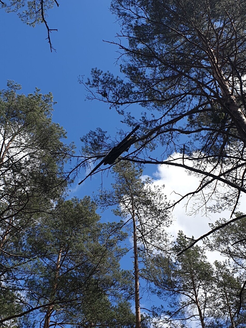 https://i.jauns.lv/t/2020/05/25/1961084/950x0.jpg?v=1590411987 https://i.jauns.lv/t/2020/05/25/1961084/950x0.jpg?v=1590411987