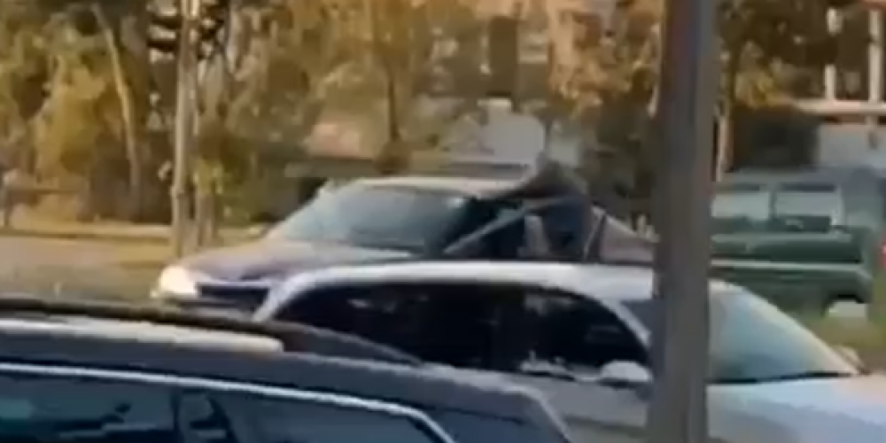 VIDEO: kašķis starp pasažieri un autovadītāju Zolitūdē pāraug dūru vicināšanā