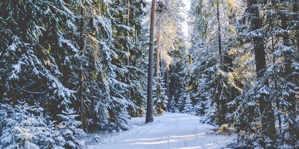 Zinātnieks pieļauj, ka pēc 40 gadiem Latvijā ziemas teju izzudīs
