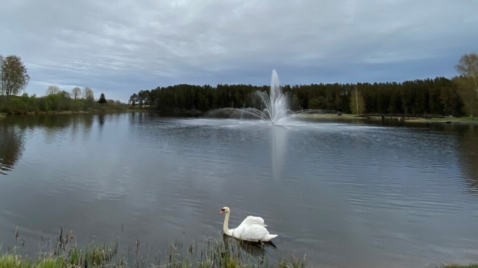 https://i.jauns.lv/t/2020/05/28/1963671/950x0.jpg?v=1590700766 https://i.jauns.lv/t/2020/05/28/1963671/950x0.jpg?v=1590700766