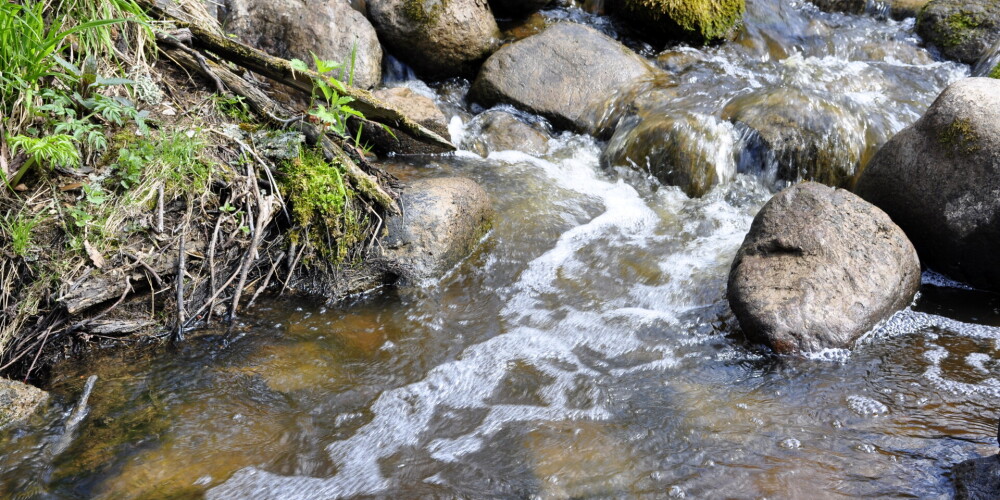 Ūdens temperatūra upēs vietām pakāpusies līdz +17 grādiem