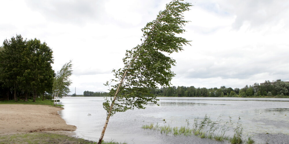 Svētdien visā Latvijā gaidāma nedēļas vējainākā diena