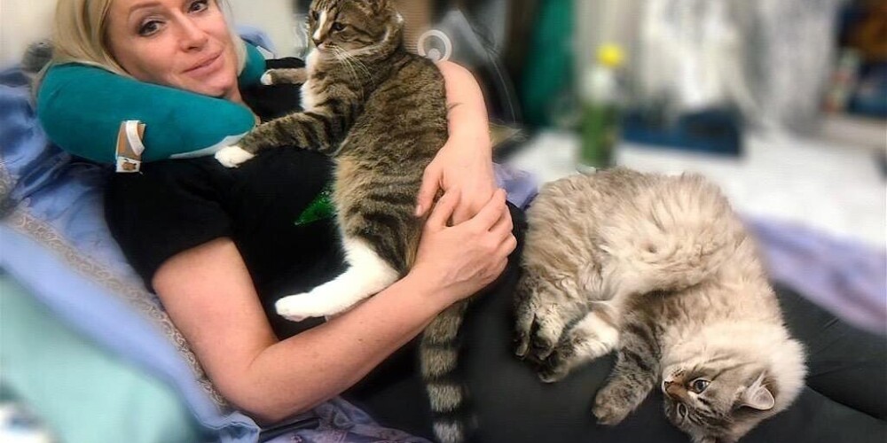 "Живот провис до пола, спина прогнулась": Наталия Гулькина шокировала рассказом о лечении коронавируса у кота
