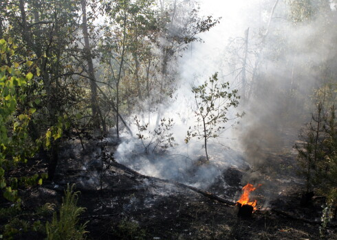 Svētdien Latvijā izcēlušies vairāki jauni meža ugunsgrēki