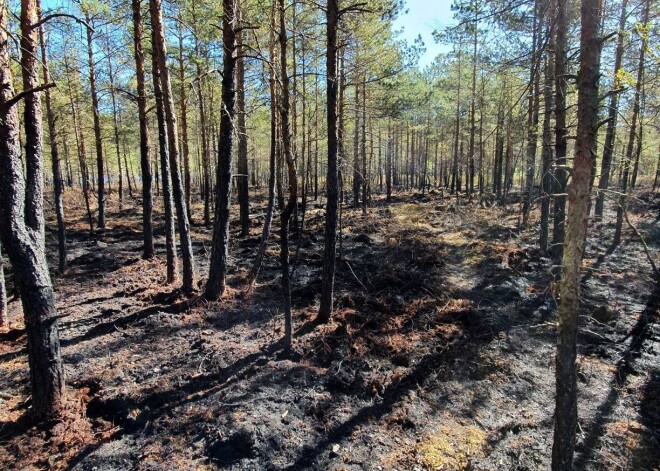 Desiņu cepēji Jaunķemeros aiz sevis atstāj ugunsgrēku