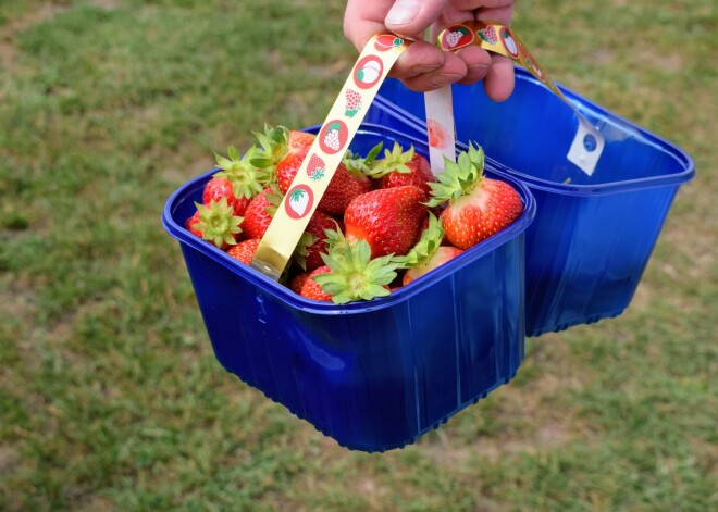 NVA aicina darba devējus pieteikt vakances skolēnu vasaras nodarbinātības pasākumam