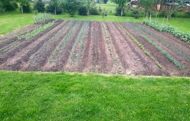 Dizainers atklāj, ka pašlaik visu audzē pēc sentēvu tradīcijām, taču kompetences paplašināšanas nolūkā plāno profesionāli apgūt agronomiju.