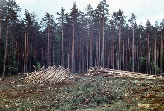 Mežu apsaimniekošanas tehnika un paņēmieni gadu gaitā ir ievērojami mainījusies.