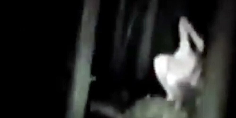 Puisis naktī mežā dzirdēja briesmīgus kliedzienus un nofilmēja noslēpumainu radījumu