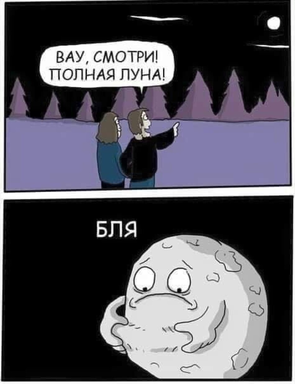 Полная Луна прикол