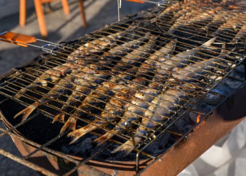 Grilētas reņģes ar pētersīļu mērci