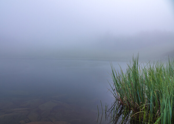Опасайтесь "злого тумана": обычаи и приметы на 30 июня