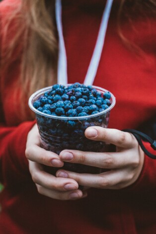 Daudz flavonoīdu atrodas pētersīļos, sīpolos, mellenēs un citās ogās, banānos un griķos.