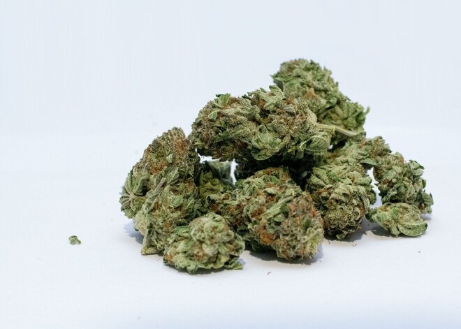 В Даугавпилсском крае выращивали марихуану и хранили амфетамин