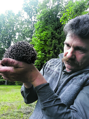 Šim ezim un vēl pieciem Skanstes ežiem, cerams, izdevies iedzīvoties jaunajā mājvietā pie Ingmāra Līdakas.