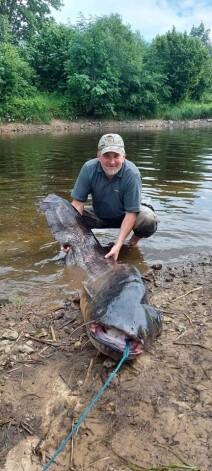 Igors Artemjevs norāda, ka viņa noķertais sams bija 2 metrus garš un 59,94 kilogramus smags.
