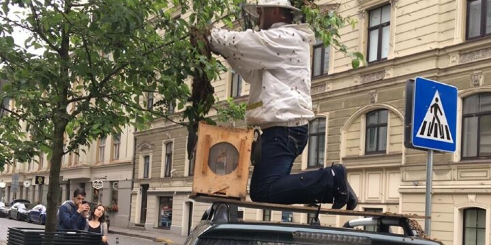Policisti saņem neparastu izsaukumu uz Rīgas centru, kur ielu krustojumā iemitinājies bišu spiets