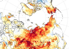 Ar sarkanu krāsu atzīmēti laukumi, kuros temperatūra pārsniegusi 2003.-2018.gadu perioda vidējo temperatūru
