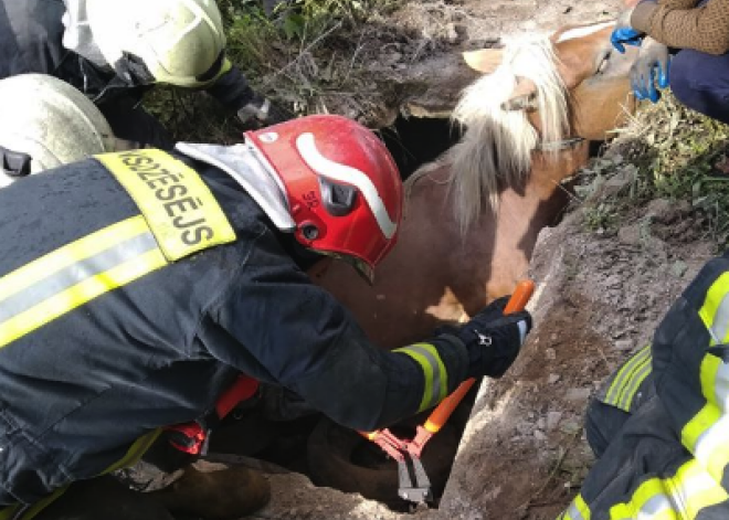 FOTO: glābēji steidz palīgā netipiskā situācijā nonākušam zirgam