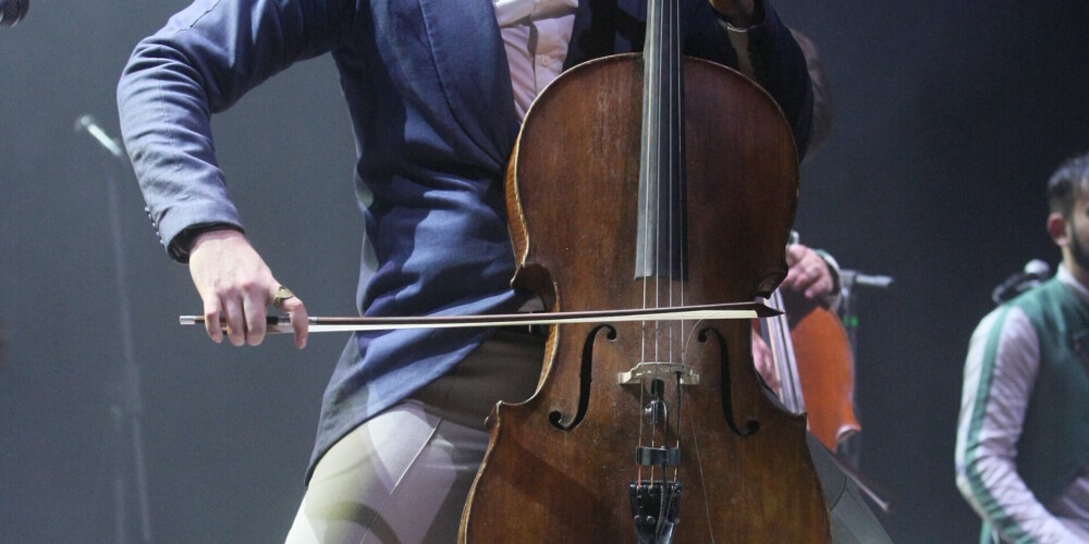 Čellists Valters Pūce (Latvija) 2011. gadā izveidoja grupu DAGAMBA. Viņam pievienojās arī bērnības draugs, čellists Antons Trocjuks (Krievija, Ukraina). Pēc pāris gadiem eksperimentējot ar dažādiem mūzikas stiliem un instrumentiem, viņi satika perkusionistu Hamidrezu Rahbaralam (Irāna) un pianistu Daini Teni (Lietuva), izveidojot internacionālu grupas sastāvu. Vēlāk, 2016. gadā, grupa pirmo reizi uzstājās tās pašreizējā sastāvā, kad tai pievienojās arī bundzinieks Artūrs Jermaks (Itālija). DAGAMBA apvieno dažādas muzikālās kultūras, veidojot unikālu un īpašu skanējumu. Mūziķi drosmīgi dodas vēl neapgūtās mūzikas pasaulēs, kas piedod izpildījumam neatkārtojamu dinamiku un vitalitāti. Grupas mūzika Valtera Pūces un Daiņa Teņa aranžējumā ir vienlīdz iespaidīga – vai tas būtu Bēthovena skaņdarbs vai fragments no "Led Zeppelin". Grupas DAGAMBA priekšnesums ir roka, popa, pasaules un klasiskās mūzikas sajaukums.