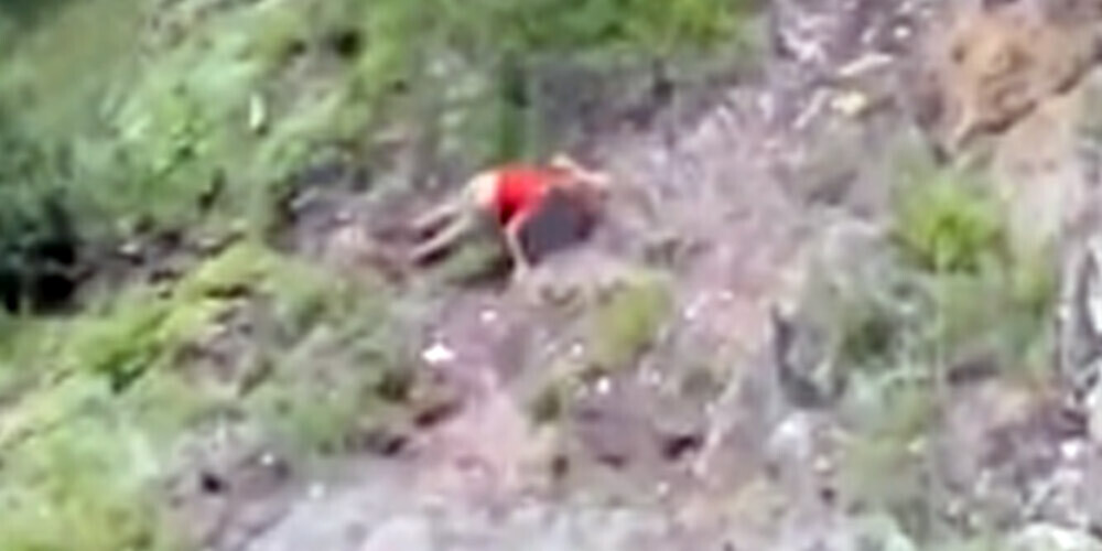 VIDEO: Sibīrijā tūriste selfija dēļ nokrīt no 50 metrus augstas klints un iet bojā