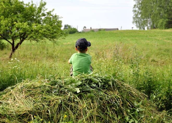 Latvijā dzestrai naktij sekos pārsvarā saulaina diena