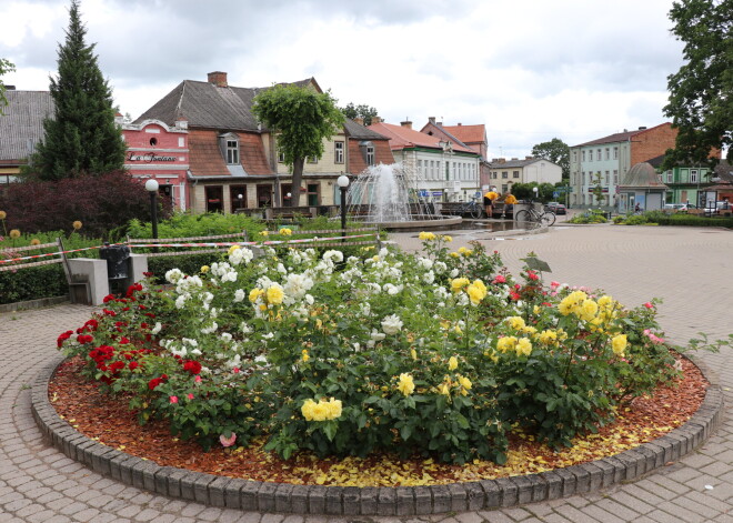 FOTO. Krāšņais rožu ziedēšanas laiks Tukumā ir sācies!