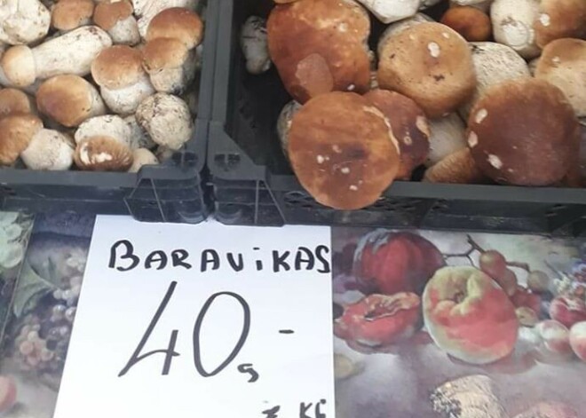 Cilvēki sašutuši par baraviku cenu tirgū: 40 eiro kilogramā. Cik tirgū maksā sēnes?