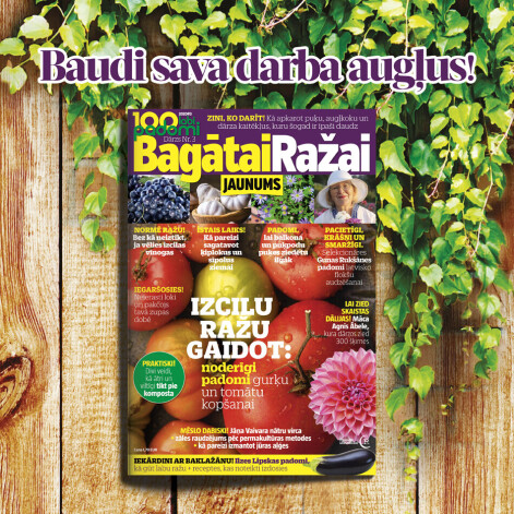 Žurnāla "100 labi padomi" speciālizlaidums nopērkams preses tirdzniecības vietās visā Latvijā, kā arī "Bolt Food" lietotnē "Narvesen" veikala sadaļā "žurnāli", kā arī digitālā formā www.zurnali.lv "App Store" un "Google play".