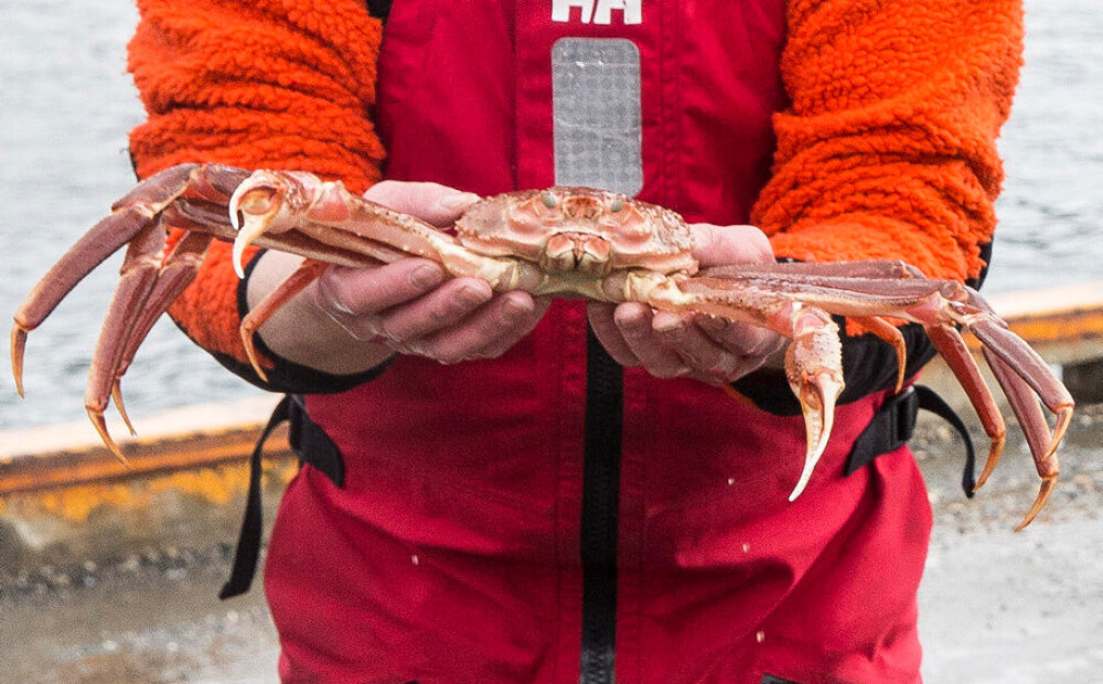 Sniega krabju zvejas lieta nonākusi starptautiskajā šķīrējtiesā