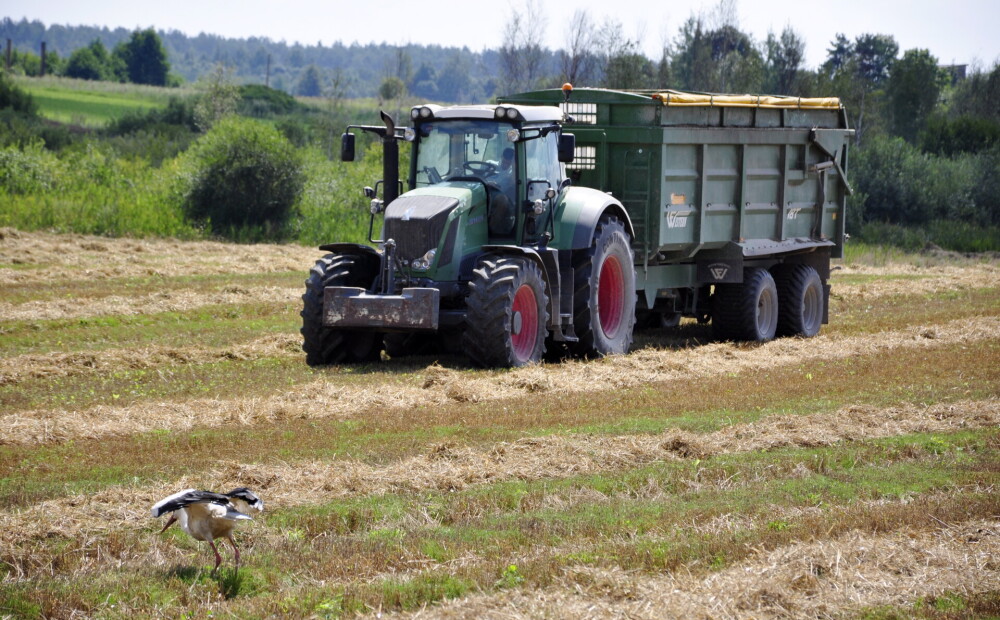 Latvijas lauksaimnieki ar nākamajā plānošanas periodā paredzētajiem tiešmaksājumiem ierindojas pēdējā vietā ES