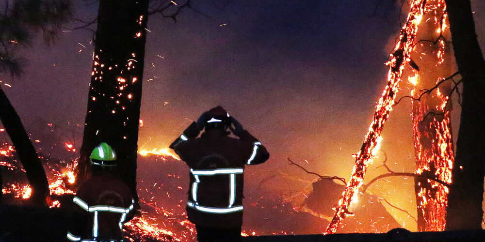 Francijā pie sērfotāju iecienīta kūrorta izcēlies meža ugunsgrēks; nodegušas mājas
