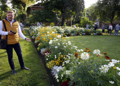 Visvairāk balsu ieguvusi krāšņā dobe Kuldīgas un Slokas ielas krustojumā.
