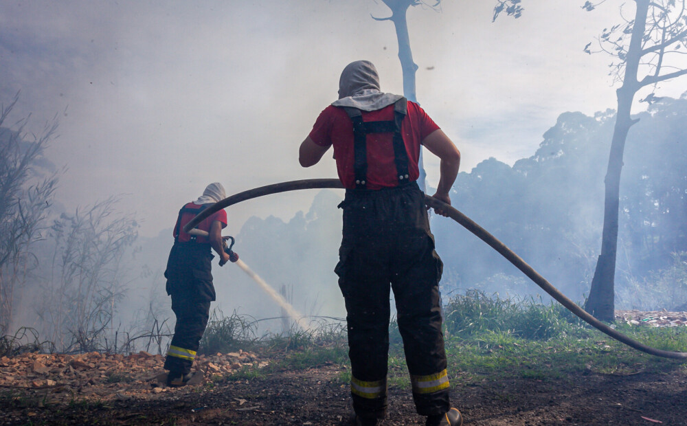 Amazones baseinā Brazīlijā pieaug meža ugunsgrēku skaits