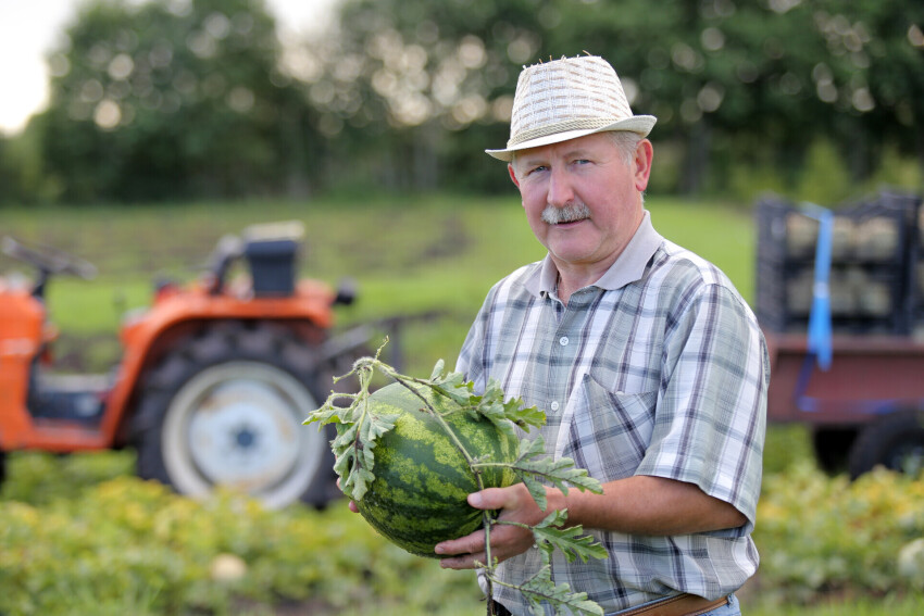 Их называли сумасшедшими как эксдиректор зала "Дзинтари