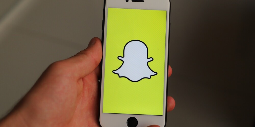 Par zoofiliska materiāla lejupielādēšanu no lietotnes "Snapchat" piespriež piespiedu darbu