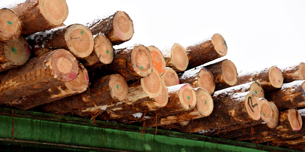Kokapstrādes uzņēmumi aicina nepadarīt Latviju par vienkāršu apaļkoku pārdevēju Ķīnai