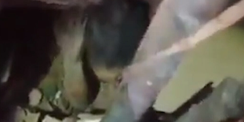 Publicēts VIDEO ar mazas meitenītes izglābšanu, kura pēc sprādziena Beirūtā dienu nogulēja zem gruvešiem
