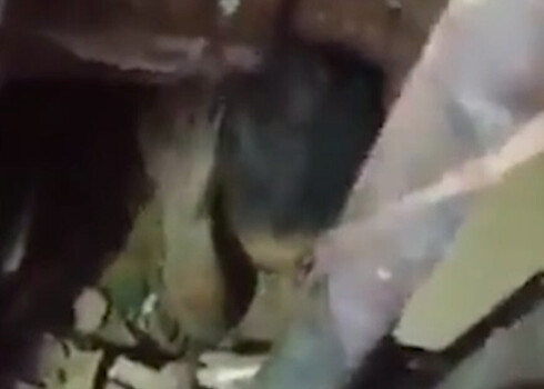 Publicēts VIDEO ar mazas meitenītes izglābšanu, kura pēc sprādziena Beirūtā dienu nogulēja zem gruvešiem