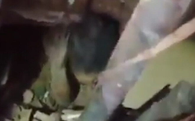 Libānas galvaspilsētā Beirūtā joprojām turpinās cilvēku meklēšana. Iesaistīti ne tikai specdienesti, bet arī brīvprātīgie.