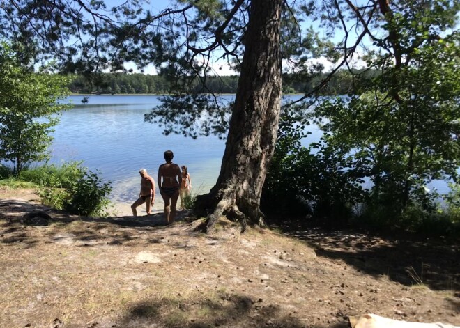 Šovasar, neskatoties uz liegumu peldēties, Ummja ezerā ūdenspriekus baudīja simtiem atpūtnieku, tā apdraudot trauslo puķi, aizsargājamo retumu – Dortmaņa lobēliju.