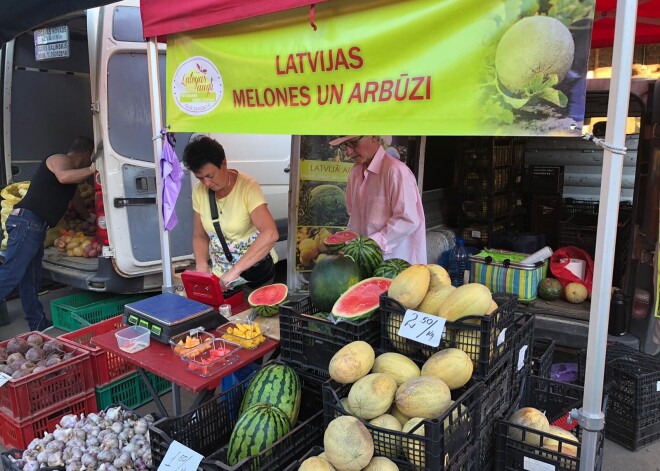 Saldākās melones izaug tieši Latvijā